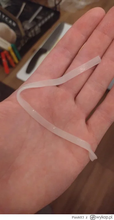 Pask03 - Znalazłem coś takiego w kuchni. Czy to tasiemiec?