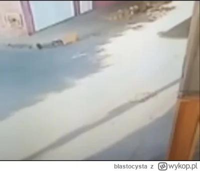 blastocysta - #trzecieoko #heheszki #motocykle
https://streamable.com/z33wuv