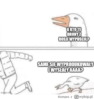 Kempes - #braun #konfederacja #bekazkonfederacji #bekazprawakow #bekazkatoli #heheszk...