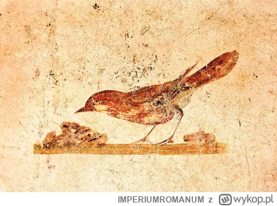 IMPERIUMROMANUM - Rzymski fresk przedstawiający ptaka

Rzymski fresk przedstawiający ...