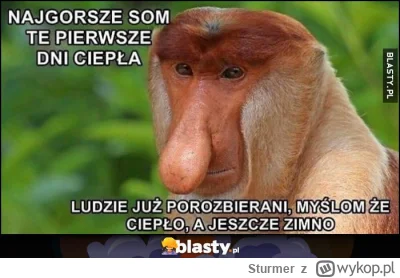 Sturmer - #pogoda
#heheszki