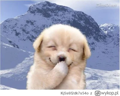 Kj5s6f2dk7s54o - @lysyzlombardu: