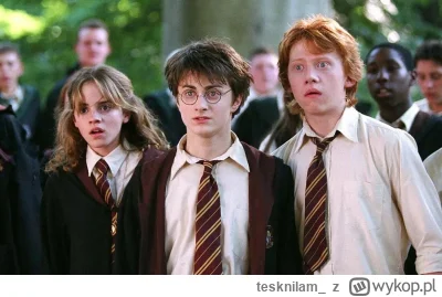 tesknilam_ - Nigdy nie lubiłam Harry’ego Pottera. Ktoś jeszcze jest takim dziwakiem?
...