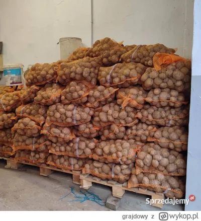 grajdowy - Woda - 100%
Raszejskie pyry - 15%
Papieroski - 0%

#danielmagical #patostr...