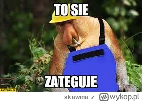 skawina - #powodz #raciborz