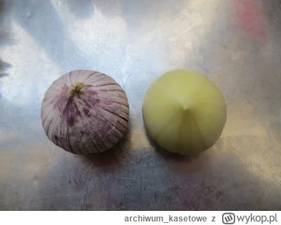 archiwum_kasetowe - @MajsterZeStoczni jest ogólnie czosnek solo jednozabkowy