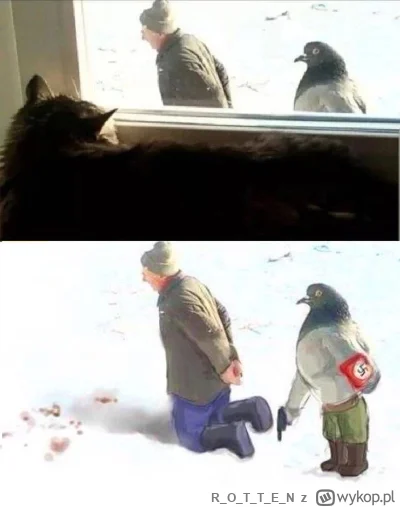 ROTTE_N - #heheszki #1wrzesnia #historia