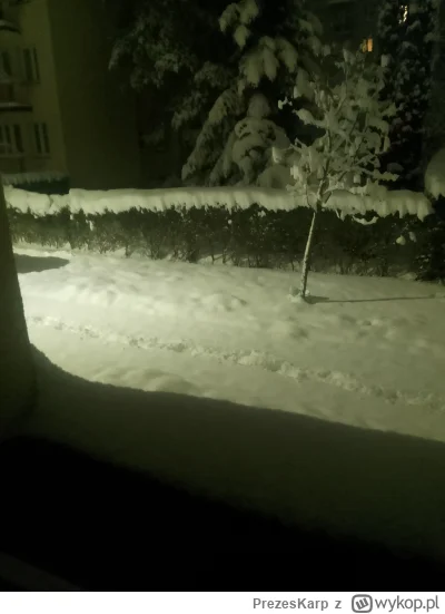 PrezesKarp - Sypie już dobe bez przerwy, ma sypać jeszcze jedną.(⌐ ͡■ ͜ʖ ͡■) #z------...