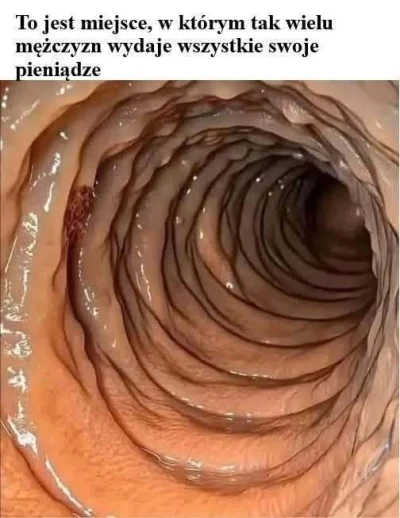 Timer_555 - #przegryw