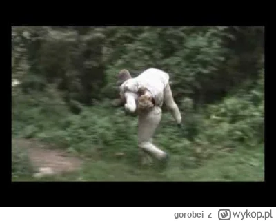 gorobei - @yourgrandma: Lel, trzy setki głosów i co: