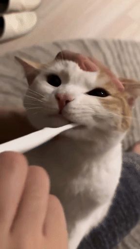 jestemtakizmeczony - @jestemtakizmeczony: