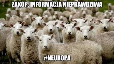 T4SPM - Idol tęczowej neuropy