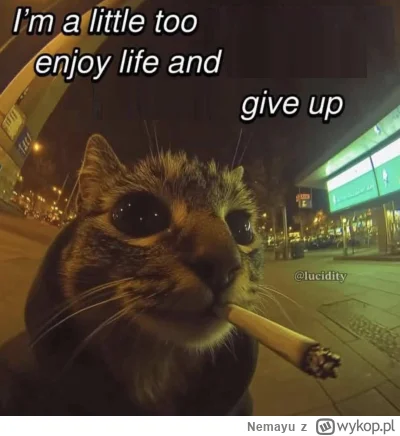 Nemayu - @FreakingAwesome: