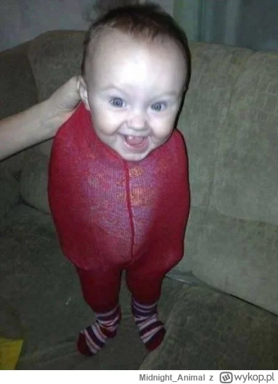 Midnight_Animal - Mój skrypt zhakował właśnie kamerke słabka, zobaczcie co on zrobił ...