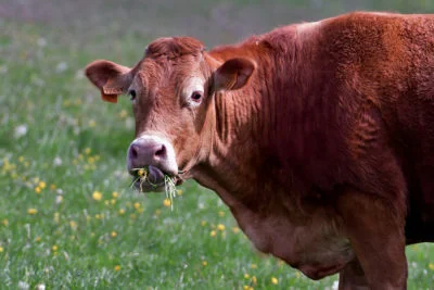 mazx - @mazx: panie łoni łobiecywali my zagłosowali a teraz trzeba januszowi jachty s...