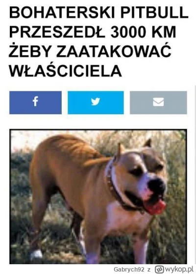 Gabrych92 - @MrCreosote: