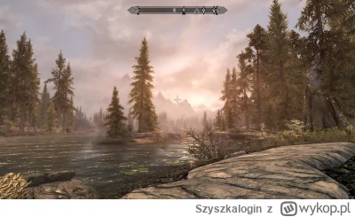 Szyszkalogin - #skyrim #gry