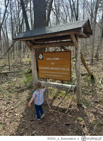 R2D2zSosnowca - @R2D2zSosnowca a tu innym razem gdzieś indziej. Nie ma takiego siedze...