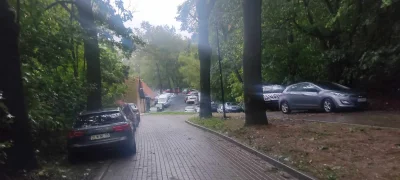 Z.....y - @Zamroczony dd