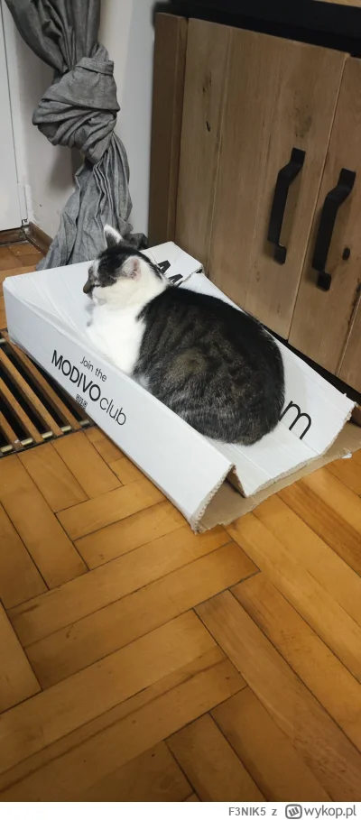 F3NIK5 - 3 legowiska na chacie
Karton i tak wygra ¯\(ツ)/¯
#koty