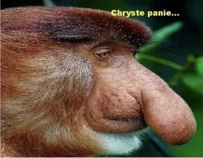 piSSowiec39 - @WolnyBLN: