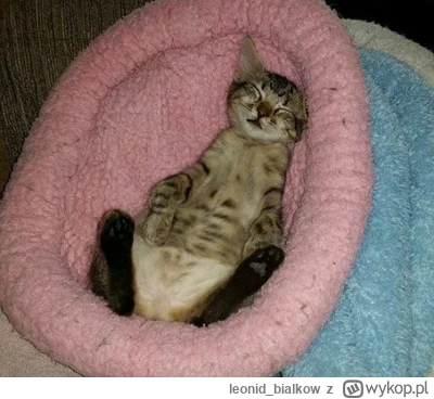 leonid_bialkow - @wfyokyga: cze dla ciebie