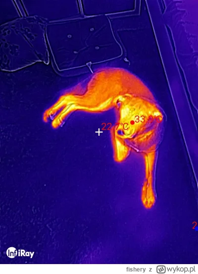 fishery - #smartfony #telefony #termowizja
Czuję się jak dziecko poznające świat, świ...