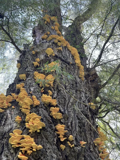 cheeseandonion - @cheeseandonion