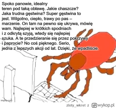 zloty_wkret - #limanowa