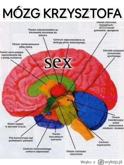 Wojko - #hotelparadise