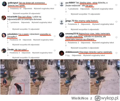 WielkiNos - Dziecko sprowokowało psa do pogryzienia siedząc sobie na ziemi (video) od...