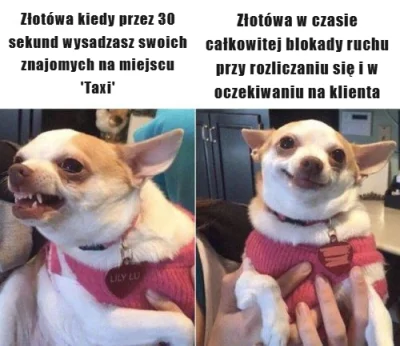 Nutaharion - #taxi #uber #bolt #freenow #taxizlotowa