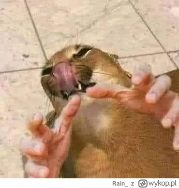 Rain_ - @niewiadomocowscenariuszujest