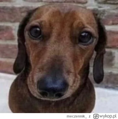 meczennik_ - #przegryw