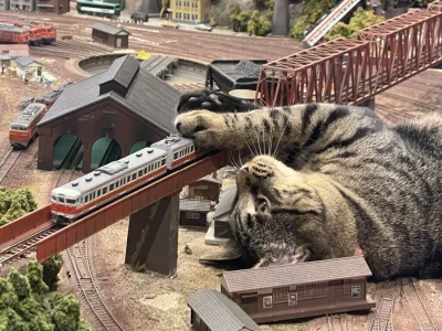 MacronT1000 - #bezczelnekotkiwchodzacenamakietykolejowe #koty #kitku

Trzeba jeszcze ...