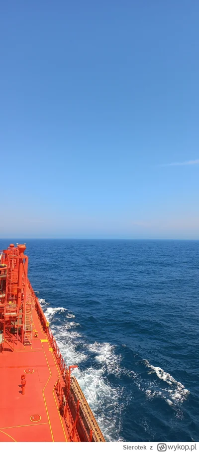 Sierotek - @Skuner Może się w końcu dowiem co tu właściwie robię ( ͡º ͜ʖ͡º)