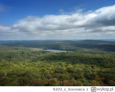 R2D2zSosnowca - @R2D2zSosnowca lasy jeszcze zielone ale to już niedługo się zmieni i ...
