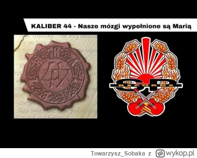 Towarzysz_Sobaka - >Wasze mozgi wypełnione są

@Khmer: Marią!