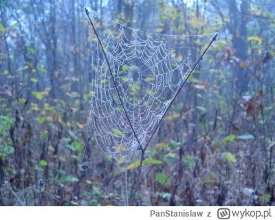 PanStanislaw - #fotografia #tworczoscwlasna #kreatywnanocna