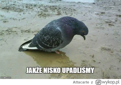 Attacarte - #skoki jeszcze 3 lata temu ledwo początek drugiej dziesiątki byłby dramat...