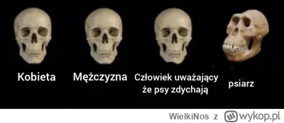 WielkiNos - @Timer_555 poprawiłam: