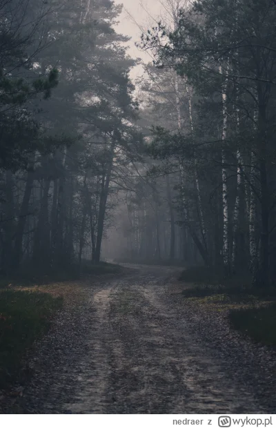 nedraer - #fotografia #mojezdjecie #tworczoscwlasna