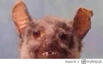 SaperX - @what-up: Ty tak otwierasz saszetki z przyprawami? Jak zwierzę?
;P

SPOILER
...