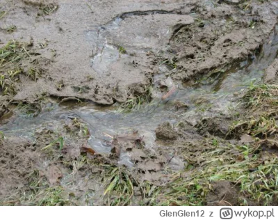 GlenGlen12 - Od dziecka mieszkałem na wsi, oczywiście na NAJBARDZIEJ zabłoconej częśc...