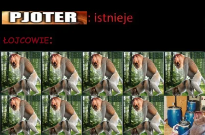 white_noiz - #konkursnanajbardziejgownianymemznosaczem