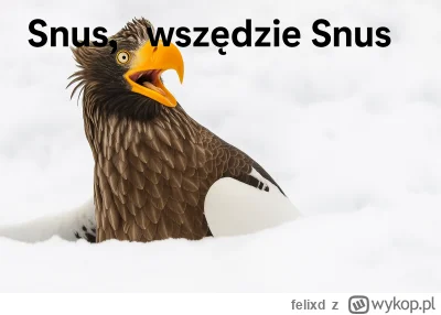 felixd - @PIAN--A_A--KTYWNA: @Gawid