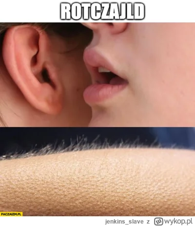 jenkins_slave - #gielda  no cóż, leje się krew, trzeba inwestować ( ͡° ͜ʖ ͡°)