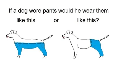 Kotouak - @Ziom166: pies nie musi bo nie nosi spodni, ale gdyby nosił to by wycierał
...