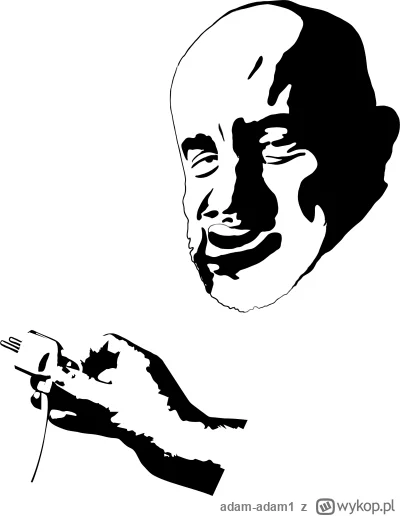 adam-adam1 - #danielmagical Protokół wtyczka