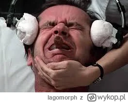 lagomorph - Ja tylko przypomnę, że bandura ze swoim przydupasem publicznie razili się...